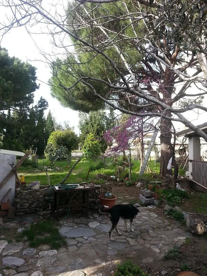 Ecer Pansiyon Kusadası