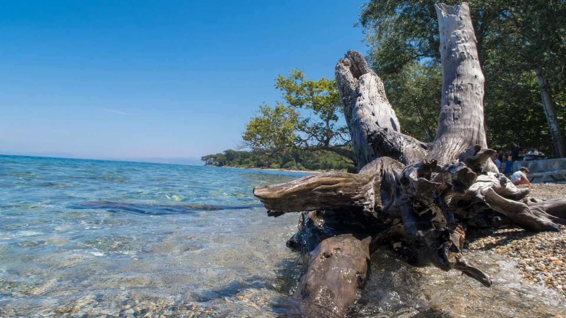 Ecer Pansiyon Kusadası 0*,